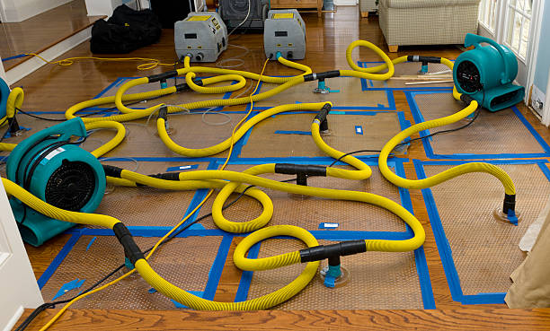 Professional Structural Drying And Dehumidification technician working in Williamsport, IN